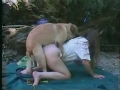 Cute, but never before saw an 18-year-old get sucked by a K9 in this startling bestiality scenario